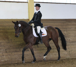 Sieg in der Dressurpferdeprüfung Klasse L und Zweiter in der L2: Andreas Brandt auf Escada JS. Foto: Jutta Wego